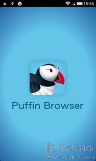 puffin浏览器最新版,Puffin浏览器最新版，速度与安全的完美结合