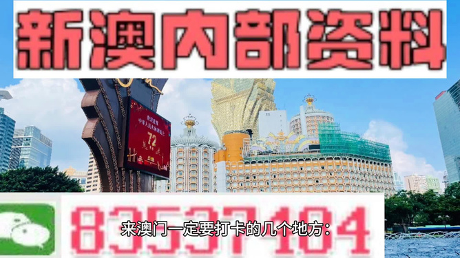 2024新澳资料免费精准051,揭秘2024新澳资料免费精准秘籍，深度解析与探索