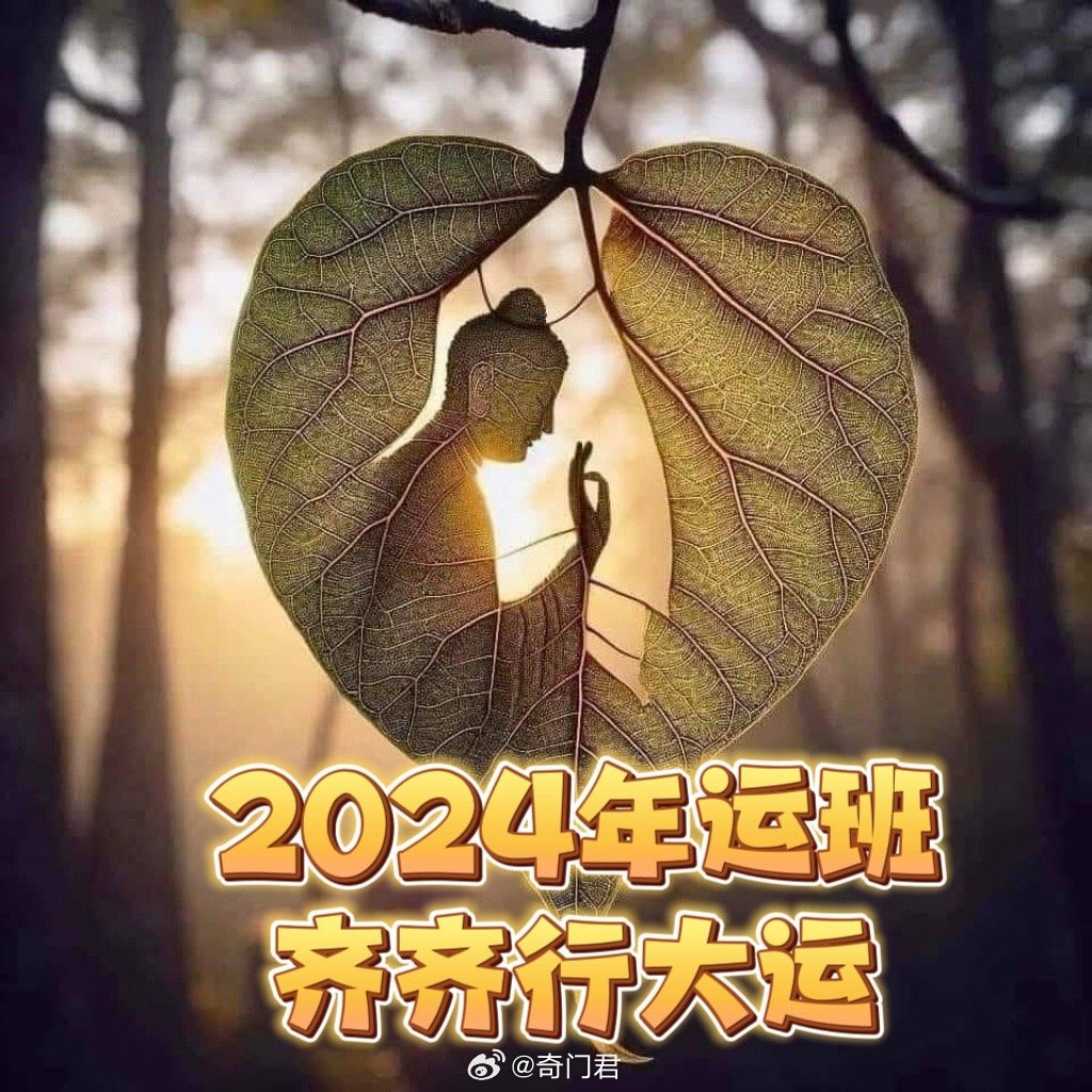 2024年一肖一码一中,揭秘未来幸运之门，2024年一肖一码一中