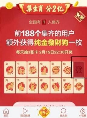 2024新澳门今天晚上开什么生肖,揭秘澳门生肖彩票背后的秘密，探寻未来生肖趋势与预测