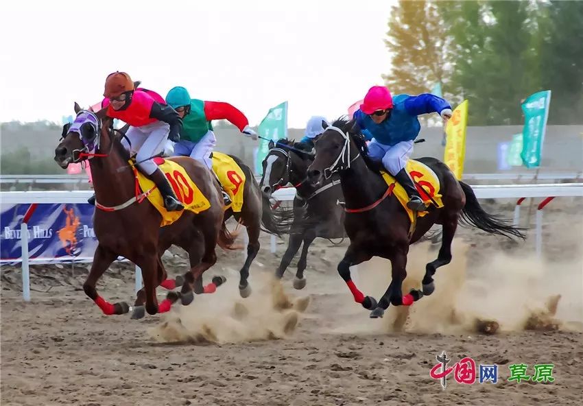 新澳今天开什么特马,新澳今天开什么特马，探索赛马运动的魅力与神秘