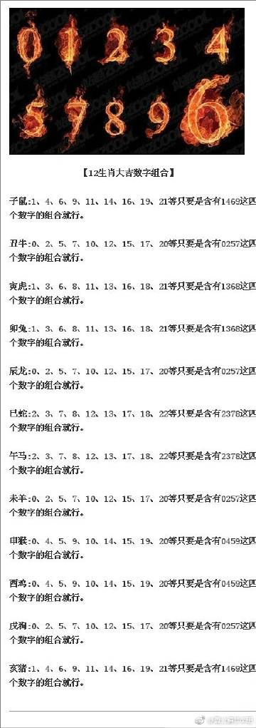 管家婆204年资料一肖配成龙088期 06-31-19-37-02-45T：11,管家婆204年资料解析，一肖配成龙与神秘数字组合的探索